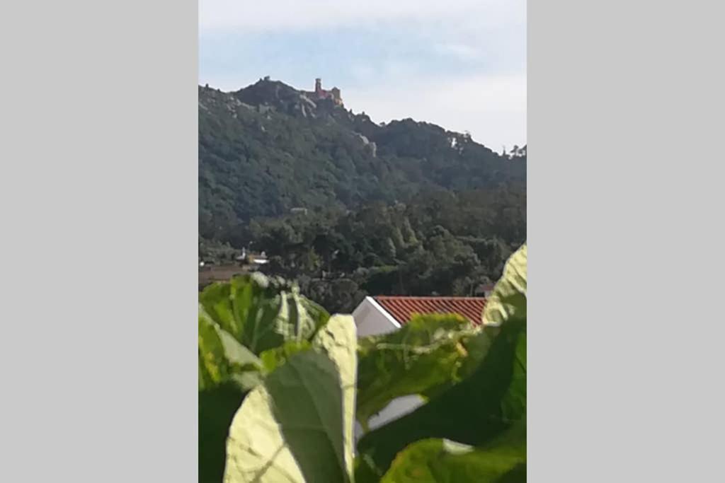 Bliss Boho House Villa Sintra Bagian luar foto
